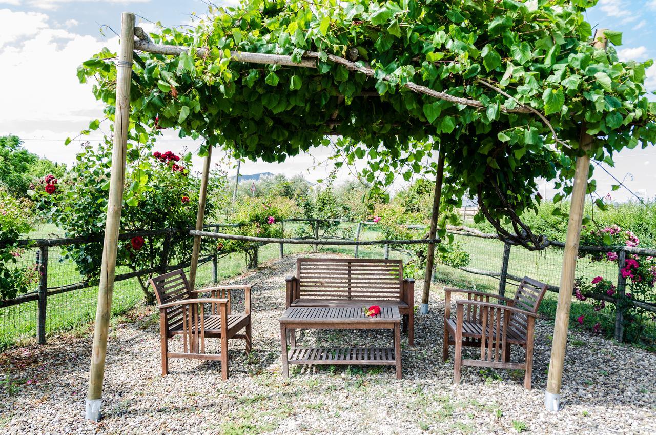 Agriturismo Il Roseto Marina di Grosseto Ngoại thất bức ảnh